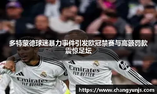 多特蒙德球迷暴力事件引发欧冠禁赛与高额罚款震惊足坛